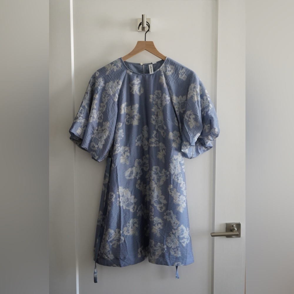 & Other Stories Puff-Sleeve Mini Dress in Blue Floral